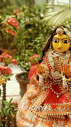 Gangaur