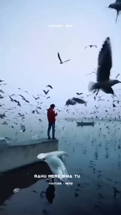 raataan lambiyan status jubin nautiyal raatan lambiyan whatsapp status aes hd ivte | video status market raataan lambiyan status jubin nautiyal raatan lambiyan whatsapp status aes hd ivte | video status market